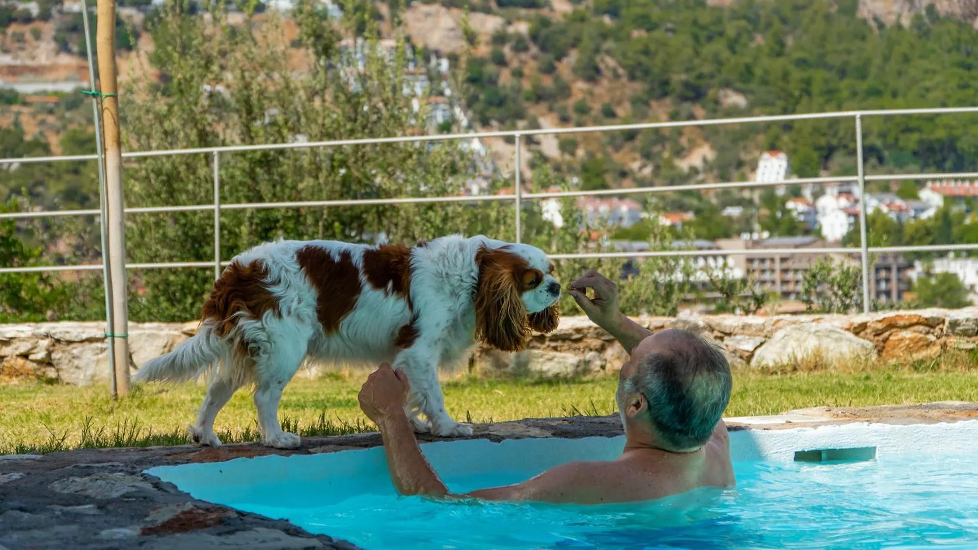 Z-Villas Beach Hotel Marmaris